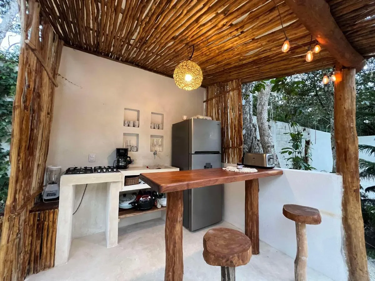Lodge Tzunum Jade Tulum Mexico
