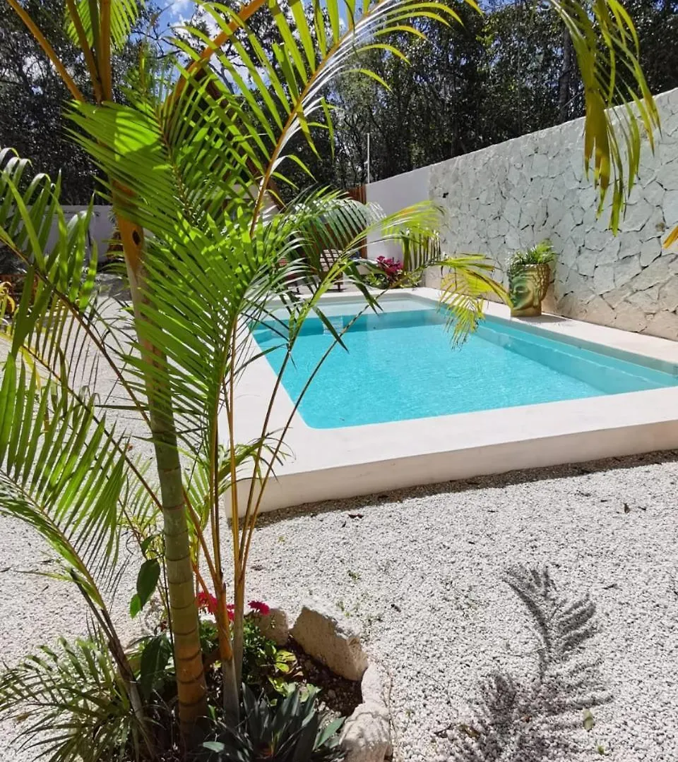 Lodge Tzunum Jade Tulum
