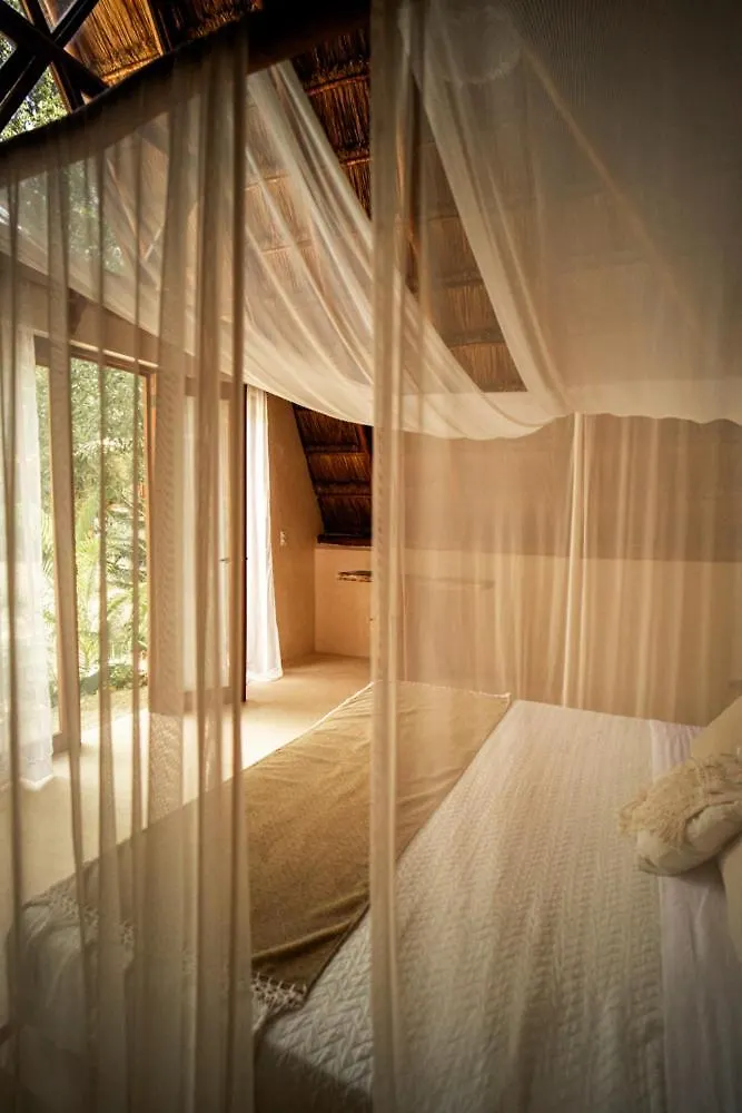Lodge Tzunum Jade Tulum