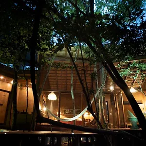 Villa Ojo De Arbol, Boutique In The Real Jungle, Tulum