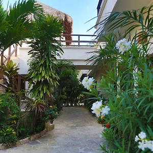 3* 酒店 Xibalba Dive Center