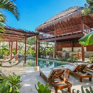 4* 酒店 Zenses Wellness And Yoga - Adults Only